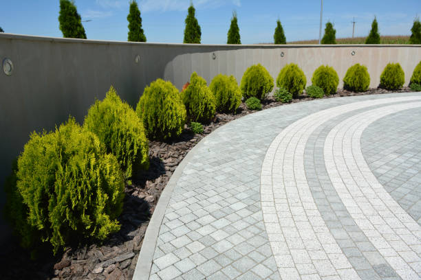 Best Decorative Driveway Pavers  in Chester Gap, VA